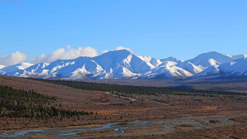 Planning a trip to Denali National Park in Alaska? Check out these Denali National Park travel tips. Camping, lodging, photography, what to pack and more