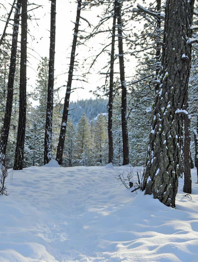 11 Snowshoeing Tips and tricks to get your prepared for your first snowshoe trip.