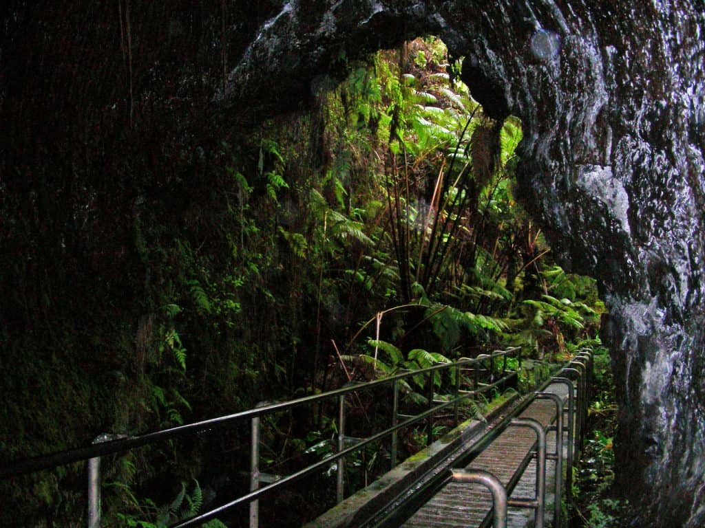 Thurston Lava Tube Hawaii Volcanoes National Park