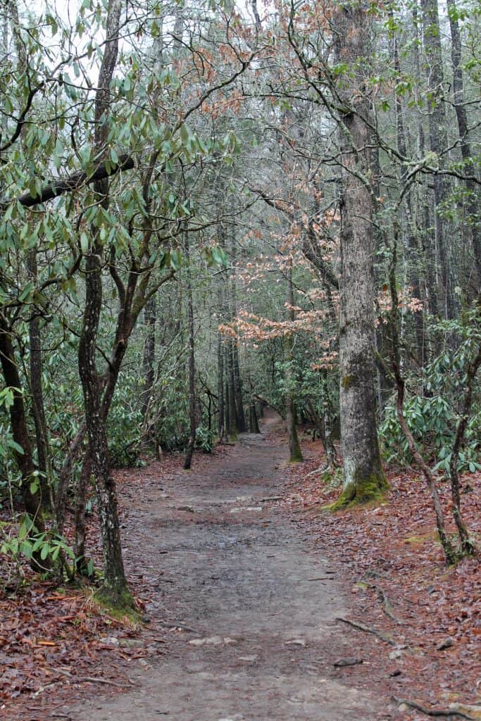 Great Smoky Mountains National Park