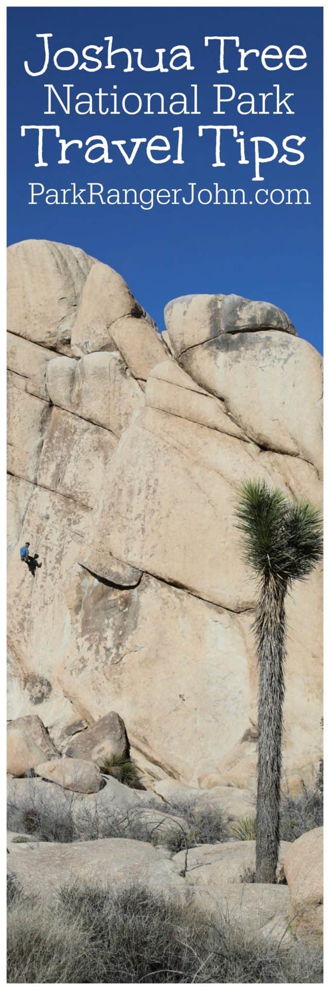 Planning a trip to Joshua Tree National Park in California? Check out these travel tips including places to stay, what to pack, hiking, camping, what to do and more!