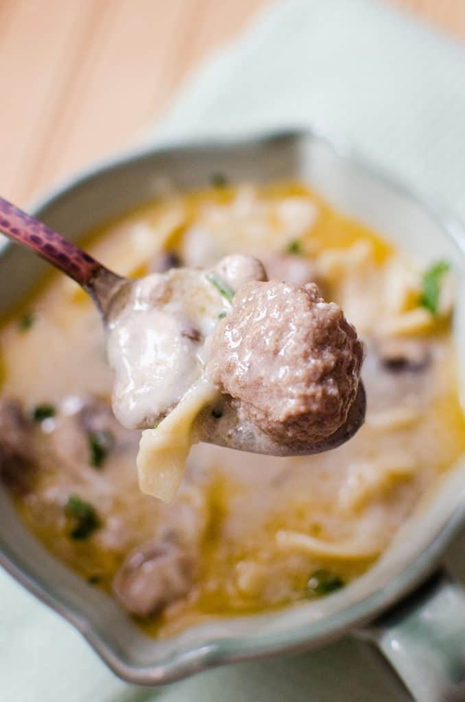 Slow Cooker Crock Pot Meatball Stroganoff Soup Recipe Park Ranger John