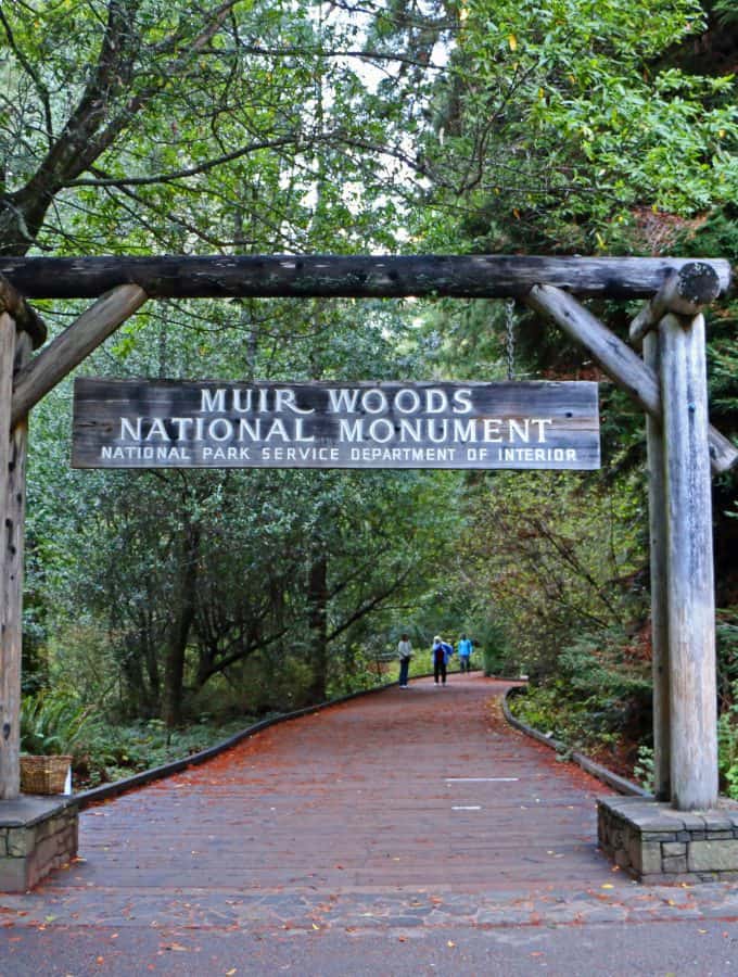 Muir Woods National Monument Travel Tips for an epic park just North of San Francisco, California. Check out these travel tips for information on hiking, photography, what it costs, shuttle service & parking plus much more! #muirwoods #muirwoodsnationalmonument #sanfrancisco #california