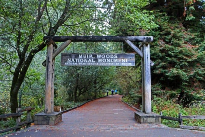 Muir Woods National Monument Travel Tips for an epic park just North of San Francisco, California. Check out these travel tips for information on hiking, photography, what it costs, shuttle service & parking plus much more! #muirwoods #muirwoodsnationalmonument #sanfrancisco #california