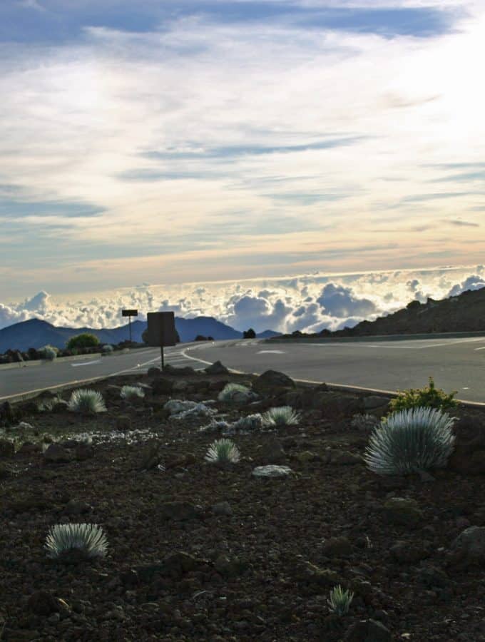 Planning a trip to Maui? Check out our Haleakala National Park Travel Tips for information on reservations, camping, lodging, what to do and more! #haleakala #maui #nationalpark #sunrise