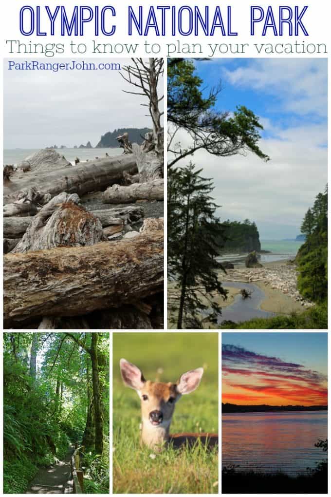 Planning a bucket list adventure to Olympic National Park in Washington! Check out these travel tips and things to know to plan the best vacation. Things to do, Camping, Fees, Lodging, planning and so much more
#olympic #olympicnp #nationalpark #nps #findyourpark #washington #vacation #travel