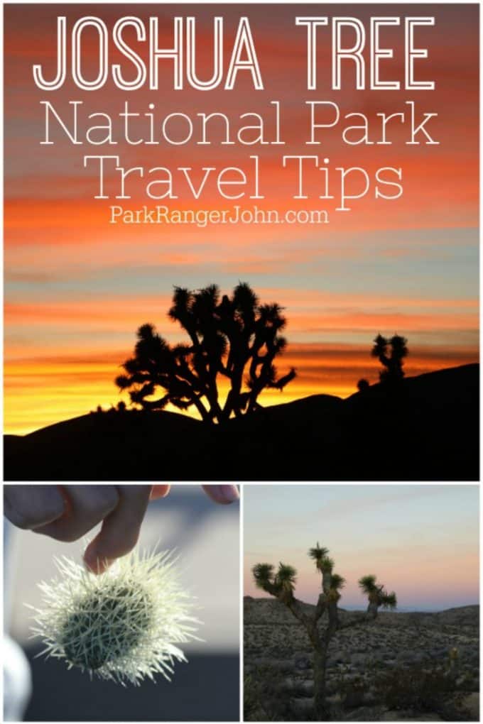 What you need to know to plan an amazing bucket list vacation to Joshua Tree National Park in California. What to pack, what to make sure you have, travel tips, safety, things to do and so much more! Get ready for a fun adventure!
#joshuatree #california #nationalpark #Nps #findyourpark #travel #vacation #getoutside #hiking #sunsets