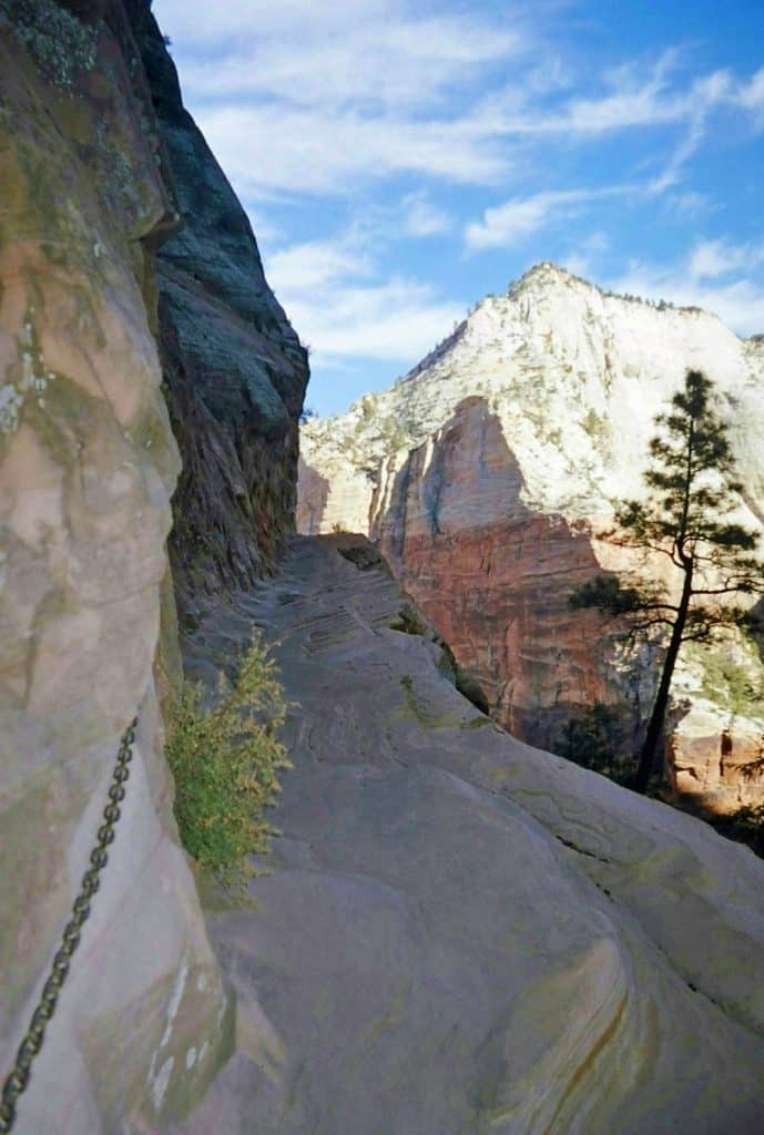 Guide to 13 great Hikes in Zion National Park in Utah! Hikes highlighted include Angels Landing, The Narrows, and Emerald Pools. #zionnationalpark #hikes #narrows #angelslanding #emeraldpools