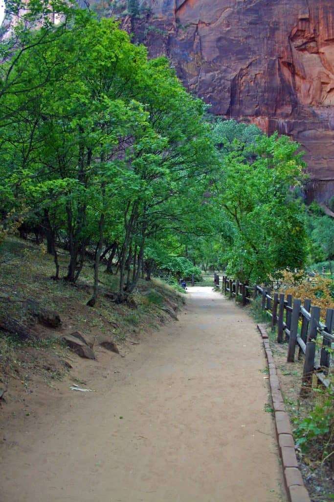 Guide to 13 great Hikes in Zion National Park in Utah! Hikes highlighted include Angels Landing, The Narrows, and Emerald Pools. #zionnationalpark #hikes #narrows #angelslanding #emeraldpools