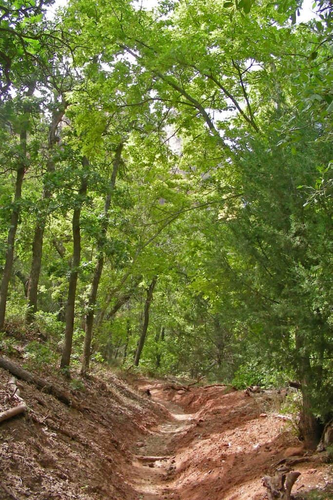 Guide to 13 great Hikes in Zion National Park in Utah! Hikes highlighted include Angels Landing, The Narrows, and Emerald Pools. #zionnationalpark #hikes #narrows #angelslanding #emeraldpools