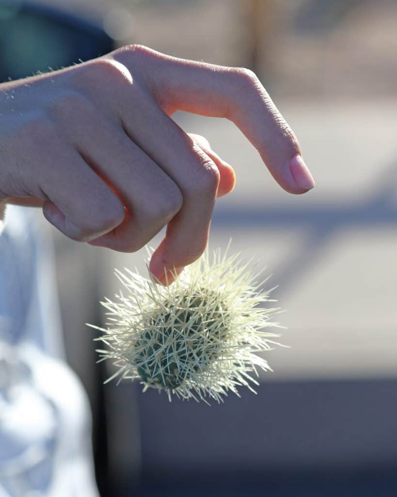 Top 10 Things to do in Joshua Tree National Park just outside Palm Springs California including photography, hiking, climbing, tips, Hidden Valley, Cholla Cactus Garden and climbing! 