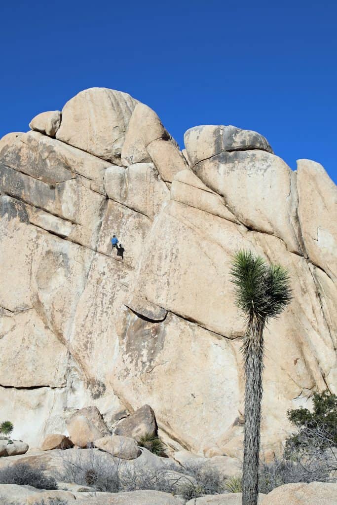 Top 10 Things to do in Joshua Tree National Park just outside Palm Springs California including photography, hiking, climbing, tips, Hidden Valley, Cholla Cactus Garden and climbing! 