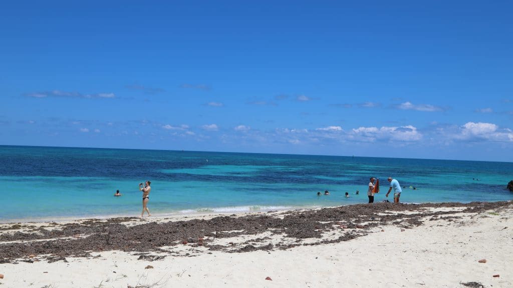 Things to do at Dry Tortugas National Park Florida - Park ...