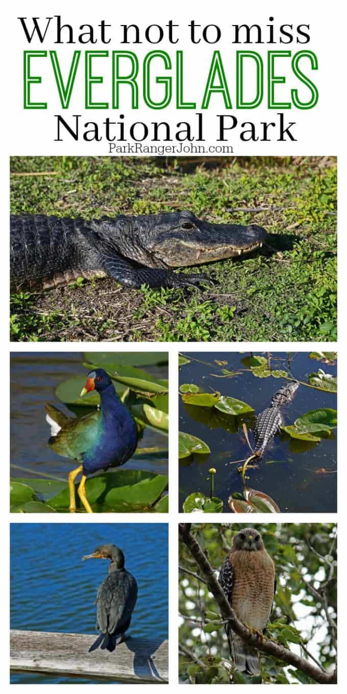 Things to do Everglades National Park in Florida | Park ...