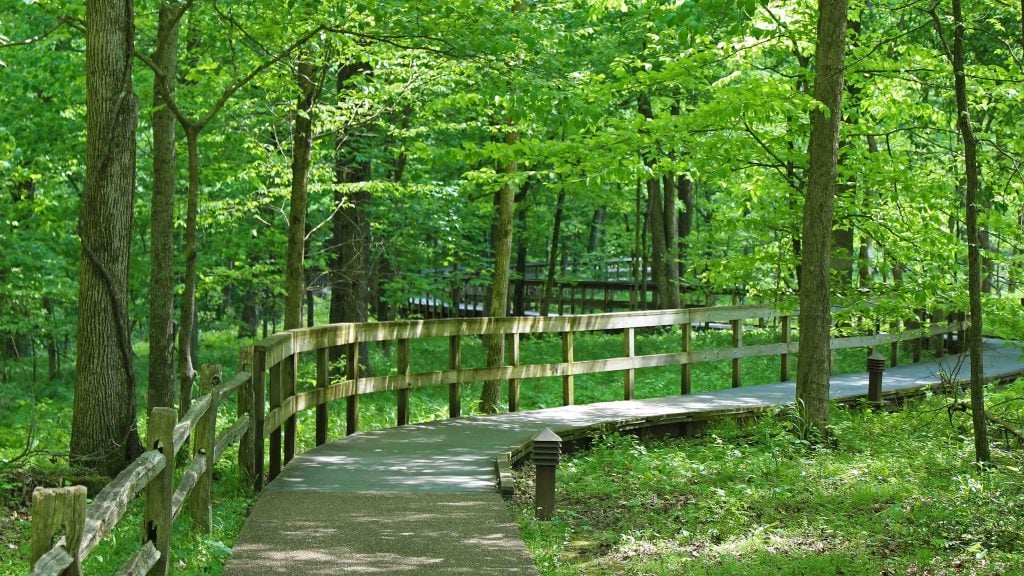 Things to do Mammoth Cave National Park in Kentucky USA. This bucket list destination with pictures has hiking, camping, canoeing on the Green and Nolin Rivers and many other adventures for the whole family. 
