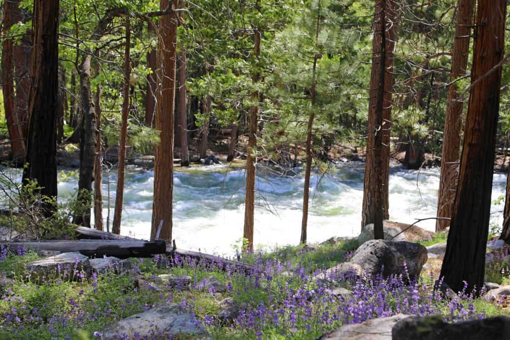 kings canyon national pk mature personals Discover the best top things to do in sequoia & kings canyon national parks walk that visits a number of mature in kings canyon national park. kings canyon national pk mature personals Discover the best top things to do in sequoia & kings canyon national parks walk that visits a number of mature in kings canyon national park.