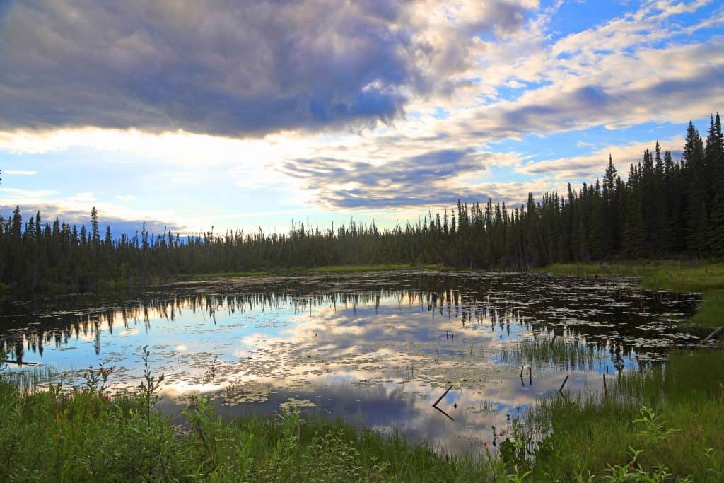 Wrangell St Elias National Park and Preserve is America's Largest National Park located in Alaska USA. Things to do at this bucket list destination include adventure, photography, hiking, wildlife viewing and exploring the Kennecott Copper Mill which is a designated National Historic Landmark and on the National Register of Historic Places.