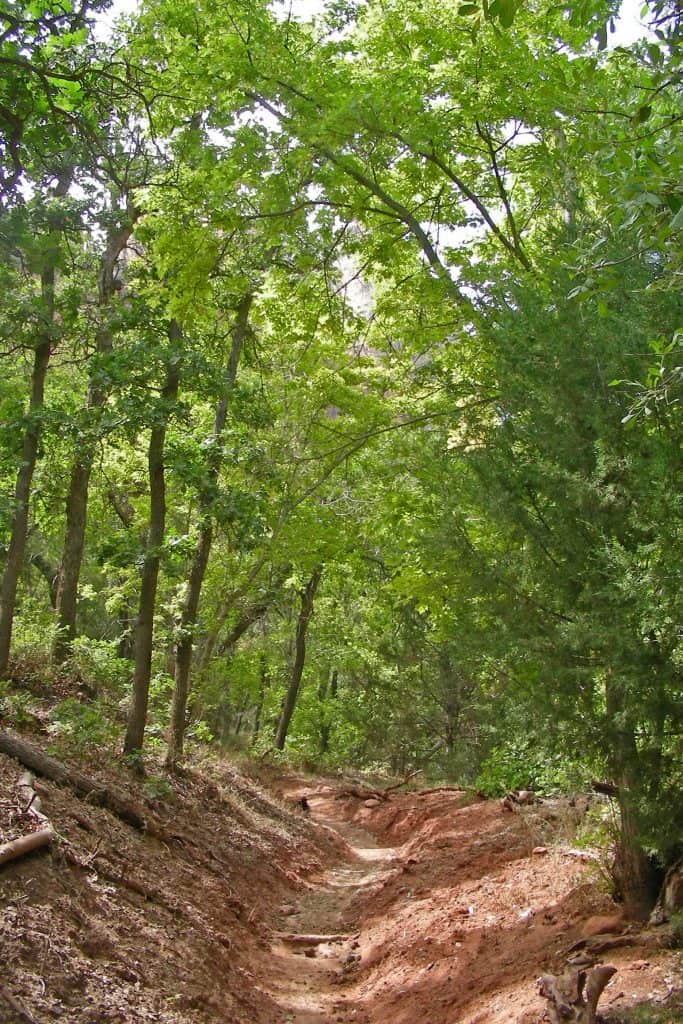 Things to do in Zion National Park Utah. Activities include camping, lodging, tips from a park ranger, hikes including the narrows, angels landing and the subway and bicycling. 