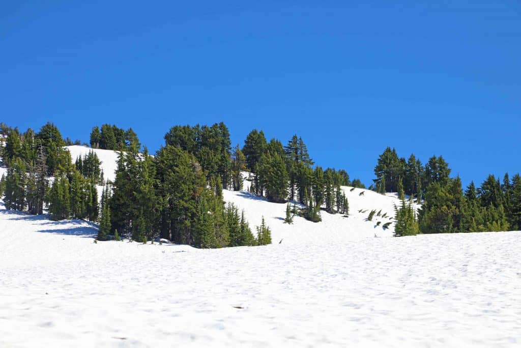 Crater Lake National Park in Oregon is the perfect family vacation. Things to do in the summer include camping, hiking, watching sunrise or sunset, swimming, play in the snow, take a boat ride to Wizard Island and photography. If you plan far enough in advance you can also stay in a park lodge! 