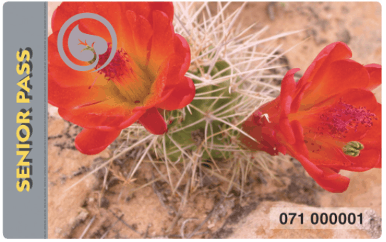 National Parks Senior Pass