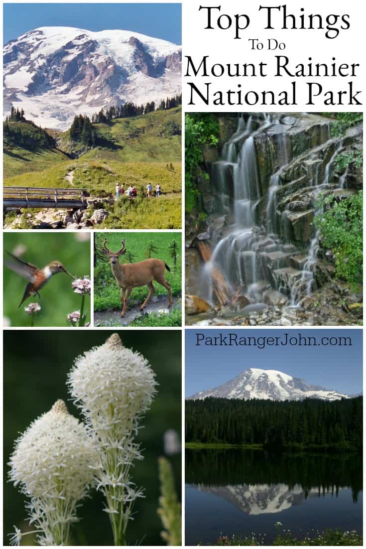 Discover Wildflowers - Mount Rainier National Park (U.S. National Park  Service)