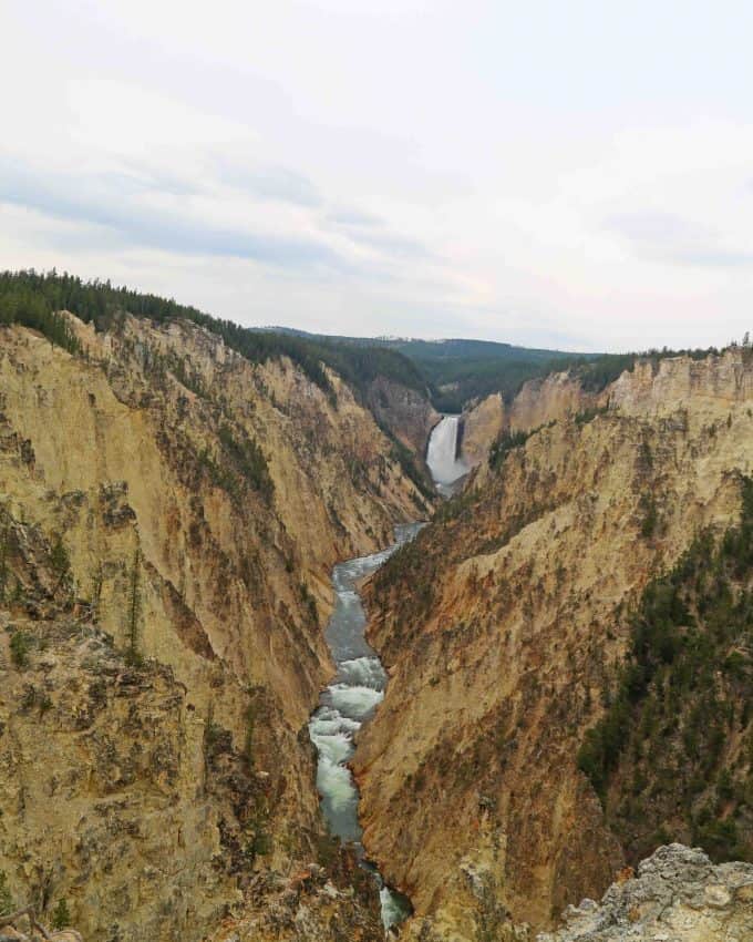 Artist Point Yellowstone National Park - Park Ranger John
