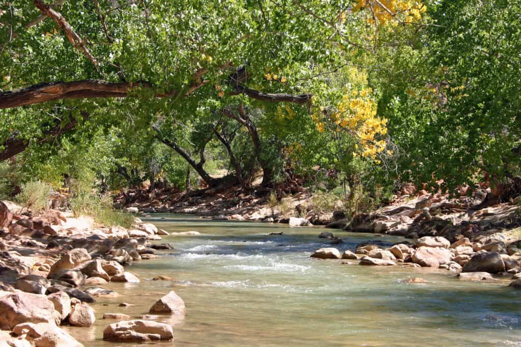 Tips for camping at Zion National Park in Utah including reservations, site descriptions, location, and maps. This will give you everything that you will need to know making your ultimate vacation travel guide to this bucket list destination. You can then check out my posts on hiking and things to do in Zion National Park!