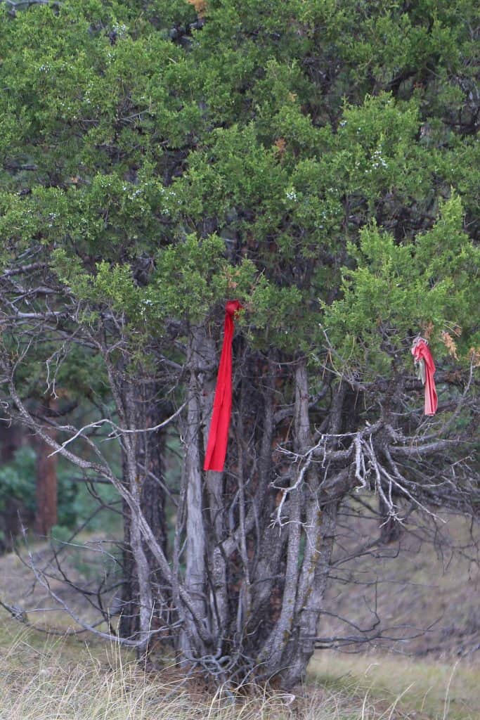 Park Rangers Guide to Devils Tower National Monument in Wyoming USA. Article includes travel tips and things to do like climbing, hiking, road trip ideas and even Close Encounters of a 3rd. Kind! #devilstower #devilstowernationalmonument #nps #nationalpark