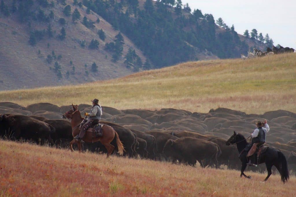 Things to do Custer State Park in South Dakota include hiking, exploring Sylvan Lake, camping, staying in a cabin or one of the several park lodges, taking the wildlife loop and driving the needles highway #custerstatepark #needleshighway #custer #sylvanlake