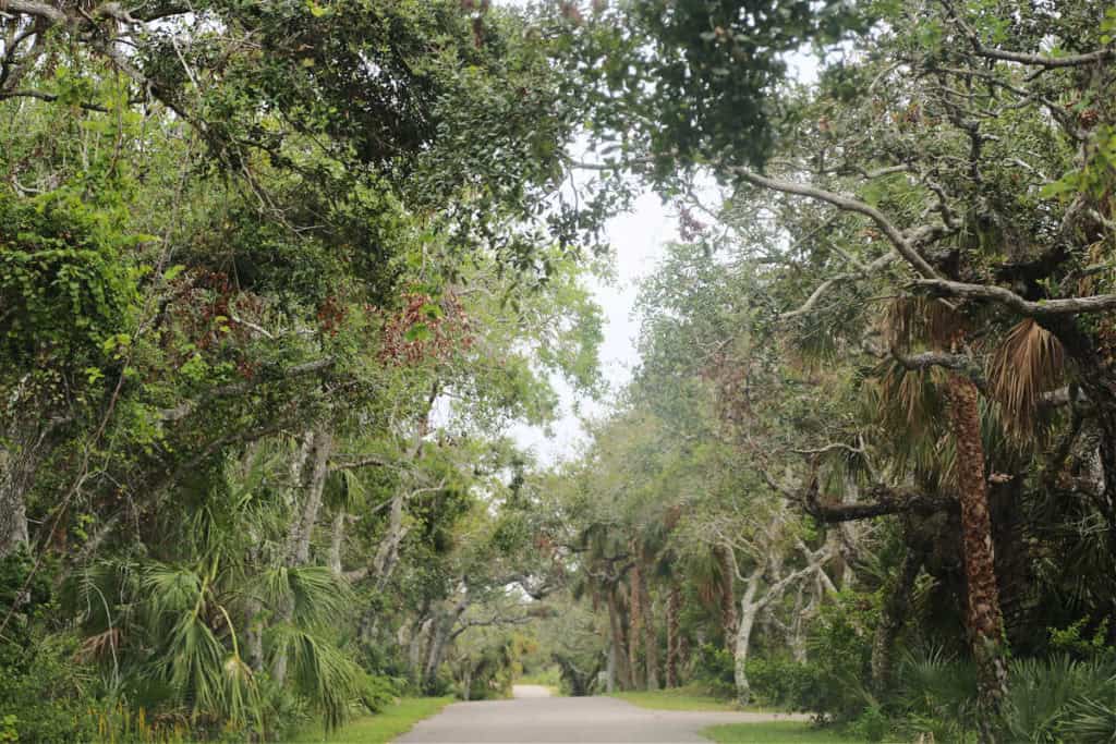 Eldora Loop Road to the Eldora Hammock Trail off Apollo Beach Road