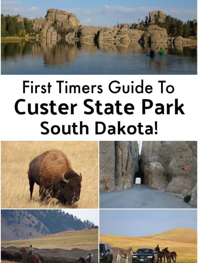Things to do Custer State Park in South Dakota include hiking, exploring Sylvan Lake, camping, staying in a cabin or one of the several park lodges, taking the wildlife loop and driving the needles highway #custerstatepark #wildlifeloop #southdakota #sylvanlake #buffalo