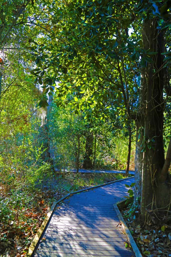 Things to do at Gulf Islands National Seashore in Florida include watching sunsets, explore forts, spend time at the beach, hiking, and fishing. #gulfIslands #gulfshores #nationalparks #pensacola