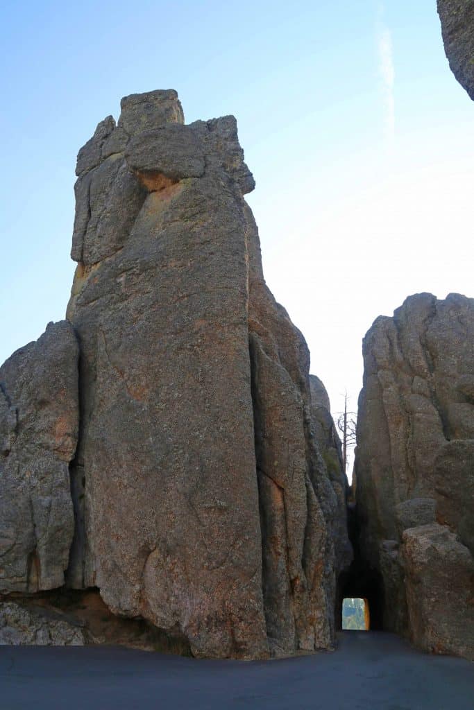 https://www.tammileetips.com/mount-rushmore-koa/