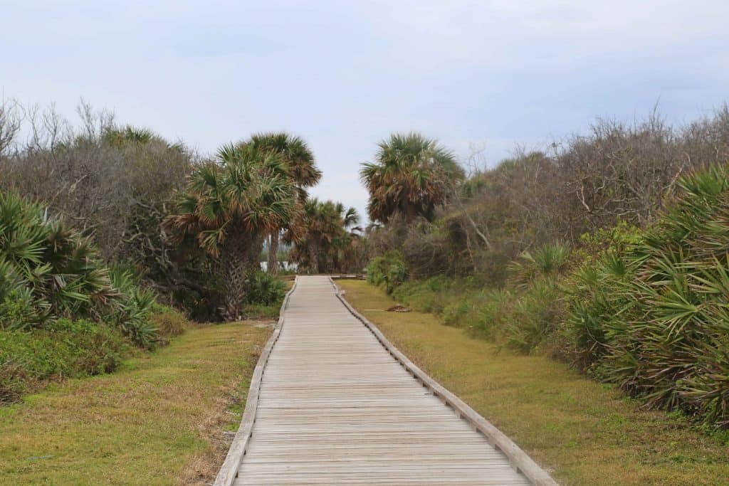 Explore Canaveral National Seashore and Meritt Island National Wildlife Refuge with beautiful beaches, epic sunrises, incredible wildlife viewing and much more! #canaveral #beaches #florida #nationalseashore