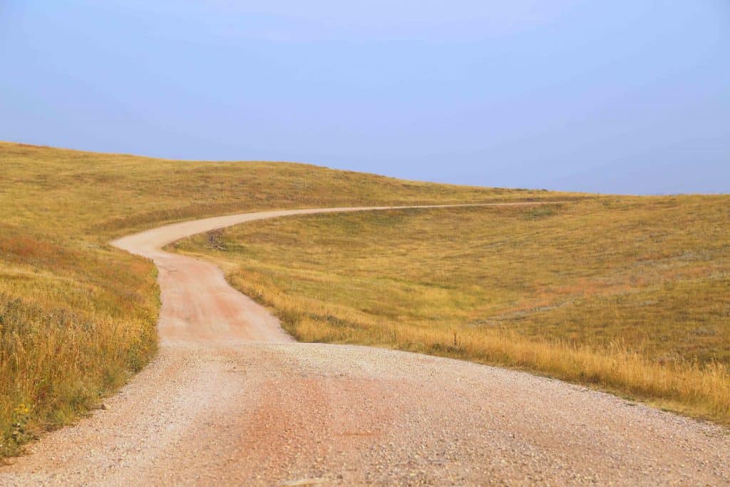 Things to do Custer State Park in South Dakota include hiking, exploring Sylvan Lake, camping, staying in a cabin or one of the several park lodges, taking the wildlife loop and driving the needles highway #custerstatepark #needleshighway #custer #sylvanlake