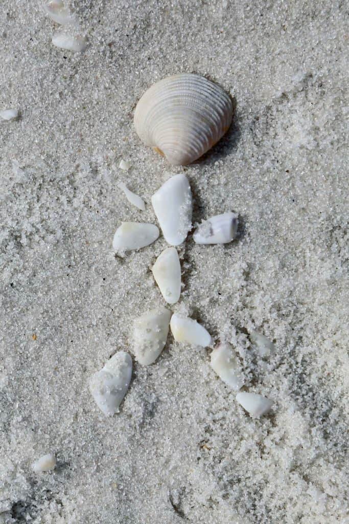 Things to do at Gulf Islands National Seashore in Florida include watching sunsets, explore forts, spend time at the beach, hiking, and fishing. #gulfIslands #gulfshores #nationalparks #pensacola