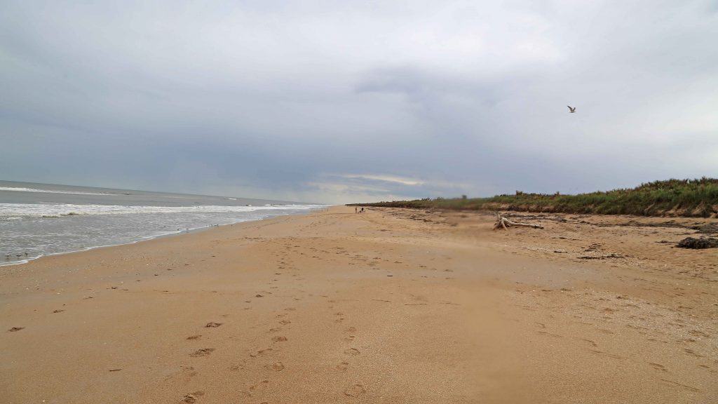 Explore Canaveral National Seashore and Meritt Island National Wildlife Refuge with beautiful beaches, epic sunrises, incredible wildlife viewing and much more! #canaveral #beaches #florida #nationalseashore