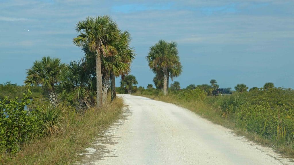 Explore Canaveral National Seashore and Meritt Island National Wildlife Refuge with beautiful beaches, epic sunrises, incredible wildlife viewing and much more! #canaveral #beaches #florida #nationalseashore