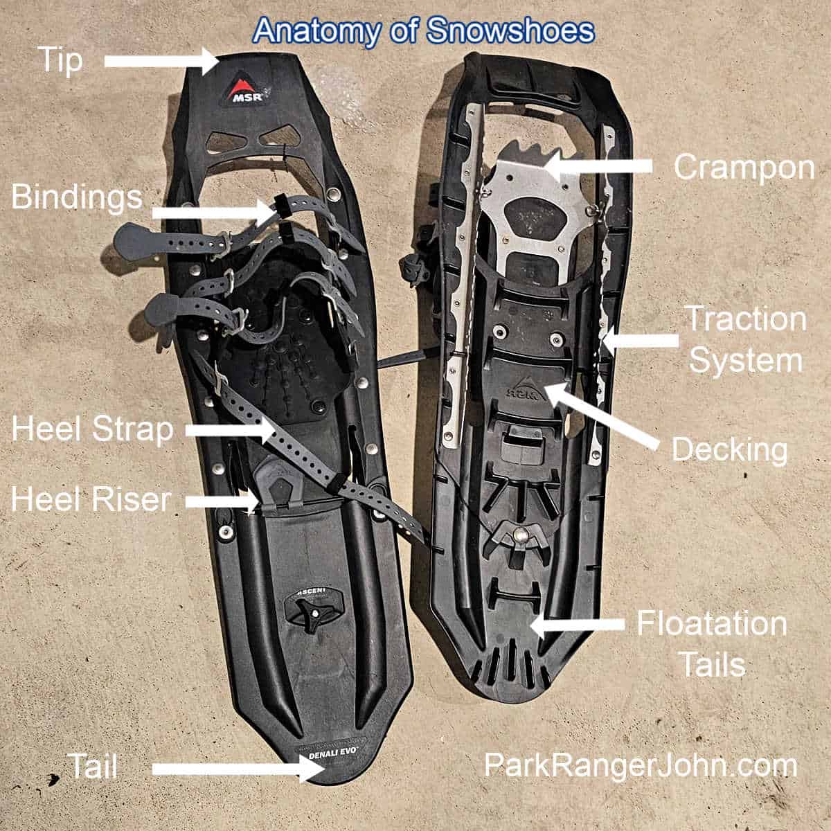 Anatomy of MSR Showshoes with arrows pointing at all the parts of a snowshoe