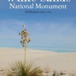 Things to do White Sands National Monument New Mexico