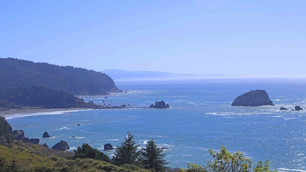 Things to do for your Redwood National Park vacation include road trips, enjoying the beach and taking epic hiking trails getting you up close to Redwood Trees like the Ladybird Johnson Grove hike! #redwood #nationalpark #thingstodo #redwoods #california