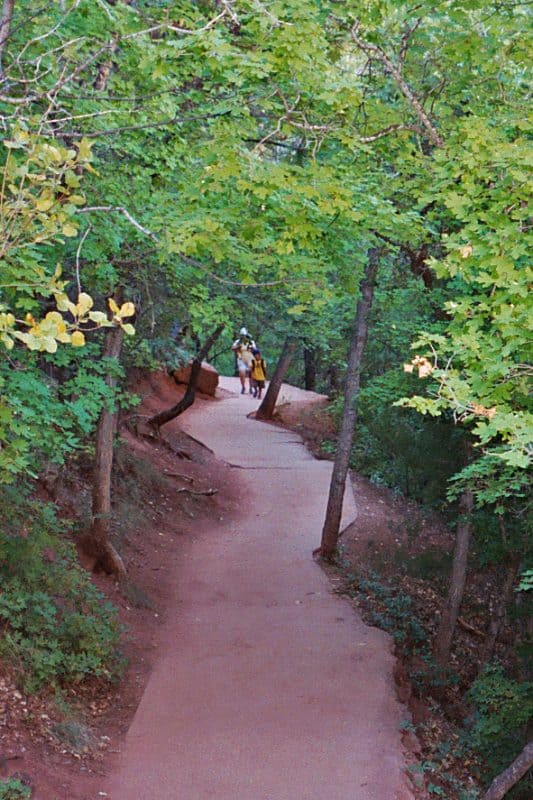 Guide to 13 great Hikes in Zion National Park in Utah! Hikes highlighted include Angels Landing, The Narrows, and Emerald Pools. #zionnationalpark #hikes #narrows #angelslanding #emeraldpools