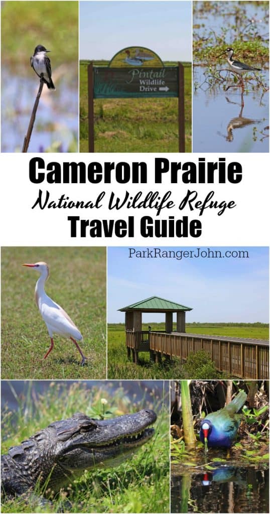 Plan your perfect trip to Cameron Prairie National Wildlife Refuge in Southwest Louisiana with my things to do, travel tips and much more! #cameronprairie #nationalwildliferefuge #creolenaturetrail #wildlifeviewing