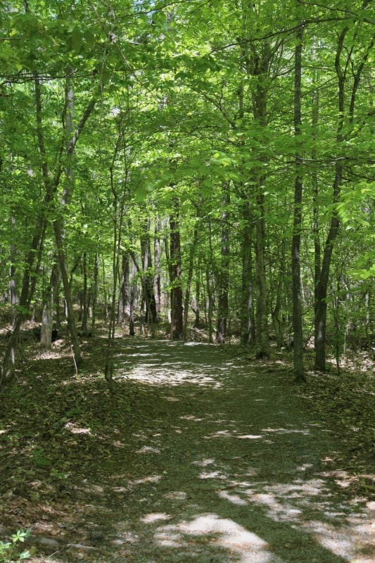 Horseshoe Bend National Military Park Alabama Park Ranger John