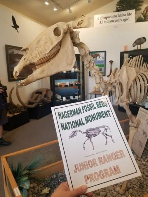 Hagerman Fossil Beds National Monument Idaho Park Ranger John