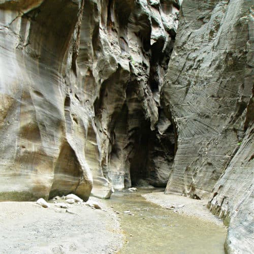 Zion Narrows at Zion National Paek Utah