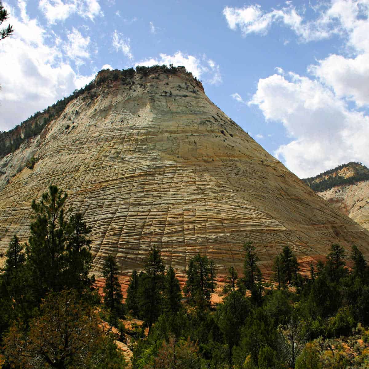 Checkerboard Mesa at Zion National Park