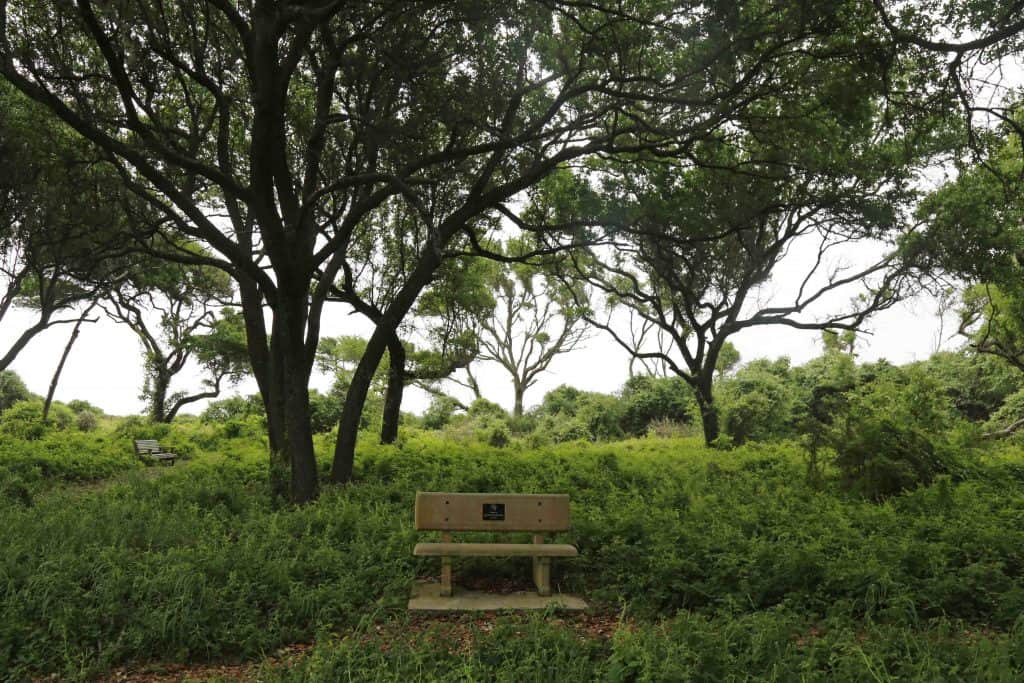 The ultimate guide to exploring the Creole Nature Trail in Southwest Louisiana #creolenaturetrail #louisiana #Louisianaoutback 