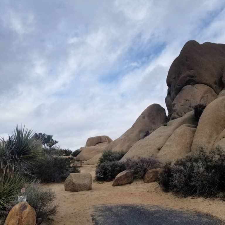 Jumbo Rocks Campground - Joshua Tree National Park | Park Ranger John