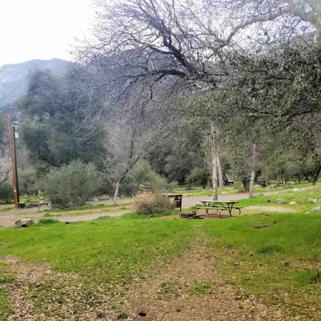 Campsite 31 Potwisha Campground Sequoia National Park